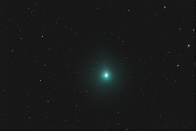 Bild vom Kometen 41/P von Karl Thurner